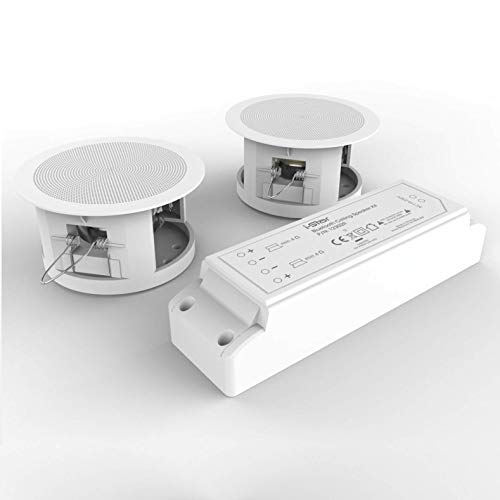 I-STAR Altavoces Bluetooth Empotrable de Techo Bluetooth Kit Completo con MÃ³dulo Bluetooth
